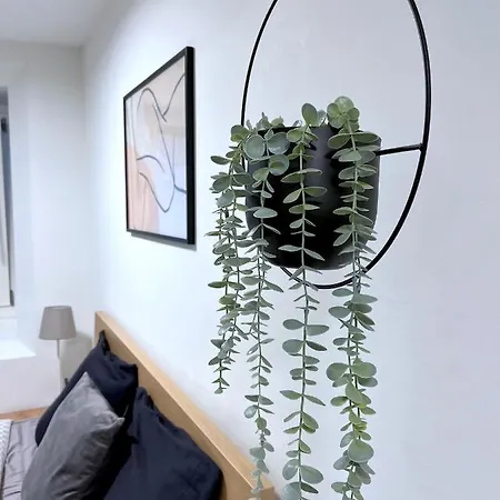 Апартаменты The Hidden Studio; Comfy & Close To The *