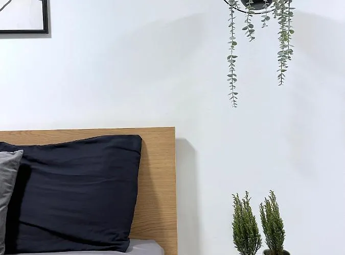 アパート The Hidden Studio; Comfy & Close To The